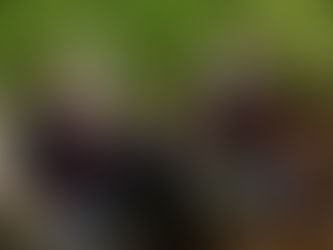 Վարանդայի շրջանում որոնողական աշխատանքների արդյունքում հայտնաբերվել է ևս 1 զինծառայողի աճյուն