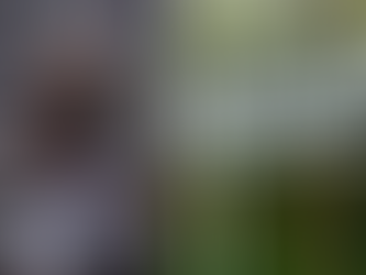 Թշնամին ավելի քան 15 րոպե կրակել է․ Չինարիի բնակիչը՝ գիշերը տեղի ունեցածի մասին