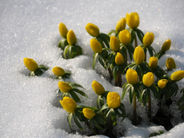 Սպասվում են տեղումներ՝ ձյան, ձնախառն անձրևի և անձրևի տեսքով