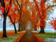 Սպասվում է առանց տեղումների եղանակ