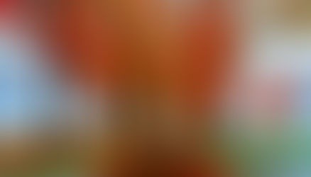 Սպասվում է առանց տեղումների եղանակ