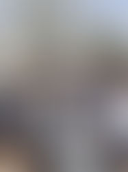 «Ուժեղ Հայաստան»-ը գրասենյակ է բացել Չարենցավանում