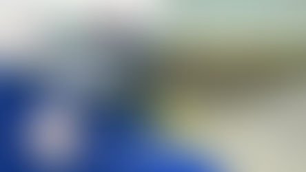 «Մուլտի Լեոն» ՍՊՆ-ն Երևանում շուրջ 16 տարի ապօրինի տարածքներ է օգտագործել