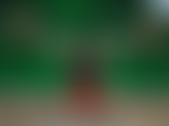 Ծանրորդ Տաթև Հակոբյանն աշխարհի առաջնությունում 5-րդն է