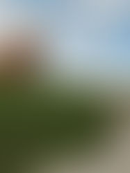 Իր վերահսկողության տակ գտնվող տարածքում վերացնելով հայկականը, Ադրբեջանը ձգտում է իրեն ապահովագրել միջազգային օրակարգի շրջադարձերից․ Հակոբ Բադալյան