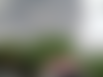 Ինդոնեզիայում ակտիվացել է Սեմերու հրաբուխը