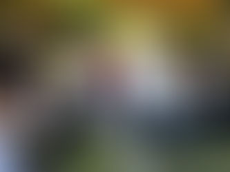 «Հրապարակ». Նիկոլ Փաշինյանը հայկական սրբությունների դեմ հերթական ոտնձգությունն է արել