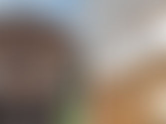 «Ժողովուրդ». Գործադիրը ԱԺ կգնա. ներկայացվելու է 2025 թվականի պետական բյուջեն