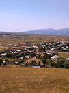 Գեղարքունիքի Ծաղկունք գյուղում գայլերի hարձակման հետևանքով 250-ից ավելի գառ ու ոչխար է uատկել