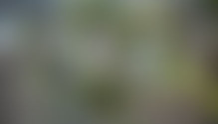 Սպասվում են տեղումներ․ օդի ջերմաստիճանը կբարձրանա