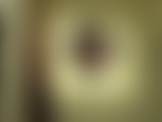 Բացահայտվել է թմրամիջոցների առանձնապես խոշոր չափերով մաքսանենգության դեպք (տեսանյութ)