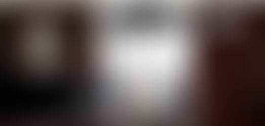 Հռոմի Ֆրանցիսկոս պապը գաղտնի այցելել է ձայնասկավառակների խանութ