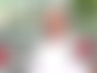 Այսօրվանից մենք ազդարարում ենք ստի վերջը․ Սերժ Սարգսյանի փաստաբան