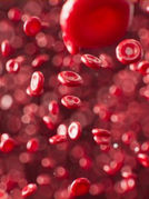 Հոգնածություն և սառած ձեռքեր. օրգանիզմում երկաթի անբավարարության 6 նշան