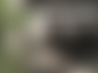 Ռուսական կողմի վերահսկողության տակ նոր բնակավայր է անցել