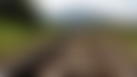 «Փաստ». Հայաստանը մեգածրագրերի մաս դարձնելը պետք է դառնա ապագա ազգային իշխանությունների խնդիրը