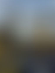 300-350 դրամ․ հեղուկ գազի շուկան վարորդների համար քաոս է առաջացրել