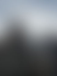 Մայր Աթոռ Սուրբ Էջմիածինը խստորեն դատապարտում է Կովկասի մուսուլմանների վարչության հայտարարությունը