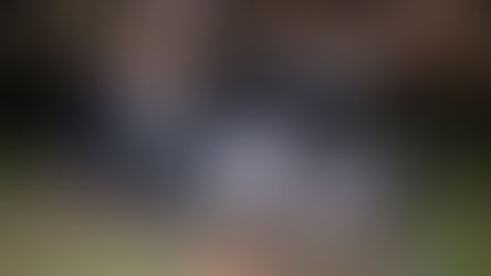 Արտառոց դեպք Երևանում. Ընկերոջ մերժումից հետո 15-ամյա աղջիկը «BMW»-ով միտումնավոր հարվածել է ծառին