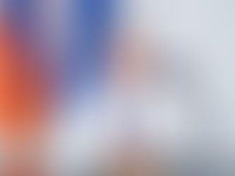 ՀՀ-ում հաջող է եղել պարեկային ծառայության ներդրումը․ ՀՀ-ում ԵՄ դեսպան