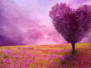 ՕԳՈՍՏՈՍԻ 28-Ի ՁԵՐ ՌՈՄԱՆՏԻԿ ՀՈՐՈՍԿՈՊԸ