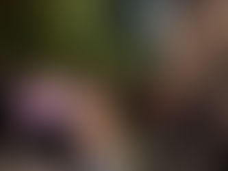 Սրբազան Պայքարի աջակիցները բողոքի ակցիա են իրականացնում՝ աջակցելու ձերբակալված 9 քաղաքացուն