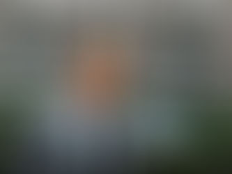 Եվրամիությունը վաղ թե՝ ուշ կվերսկսի երկխոսությունը Ռուսաստանի հետ, հայտարարել է Ֆինլանդիայի նախագահ Ալեքսանդր Ստուբը