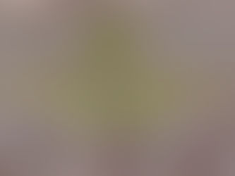 Արարատի մարզի երկու բնակիչ Բերքաձորում հափշտակել են 49.200.000 ՀՀ դրամ