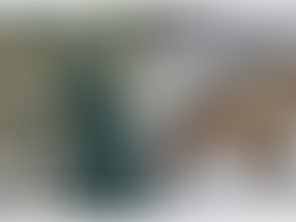 Գեղարքունիքի սահմանային հատվածի  բոլոր ուղղություններով  ընթանում է ինտենսիվ կրակ․ Ավետյան