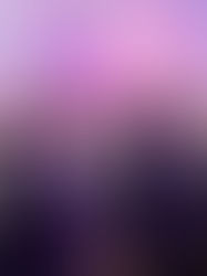 «Հրապարակ»․ 9.5 մլն դրամ ծախսել են, որից 4.5 մլն-ն՝ կերել