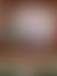 Հայաստանում Եվրասիական մարզական համագործակցության ասոցիացիայի առաջին ֆորումի անցկացումը մեծ պատիվ է և միաժամանակ վկայություն՝ մեր երկրի նկատմամբ միջազգային վստահության․ Ծառուկյան