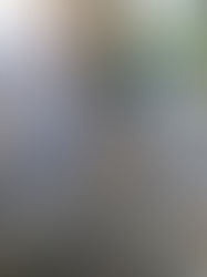 Երևանի Նորագավիթ թաղամասում կեղտաջրերը լցվում են տան նկուղներ և հողամասեր