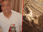 Ավշարում կատվին տանջամահ անելու դեպքով անձը զղջացել և ազատ է արձակվել արգելանքից