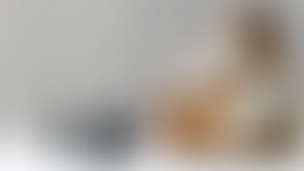 «Փաստ». Տարեվերջին կառավարությունը զբաղված է փող «քերելով»