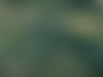 «Մեր բանակը Մռավից մինչև Արաքս ցխել է թշնամուն». Վահրամ Մարտիրոսյան