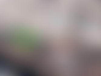 Երևանի Մինաս Ավետիսյանի անվան զբոսայգին ամբողջությամբ հիմնանորոգվել է