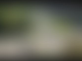 Կնոջն ու ծծկեր երեխային 16-րդ հարկից առավոտյան դուրս նետած տղամարդուն ձերբակալել են