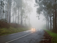 Աշտարակում և Թալինում մառախուղ է