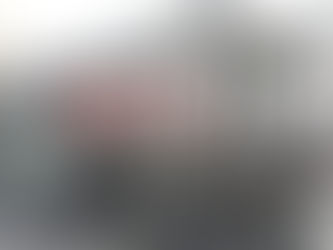 Անվտանգային հարցերը պետք է բերենք ստանդարտի, պետք է լինեն կրակմարիչներ. Ավինյանը` այրված տրոլեյբուսի մասին