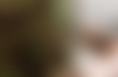 Շվեյցարացի զինծառայողներին արգելվել է օգտվել մի քանի մեսենջերներից