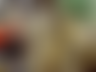 Ջրհեղեղը Բրազիլիայում 18 մարդու կյանք է խլել (տեսանյութ)