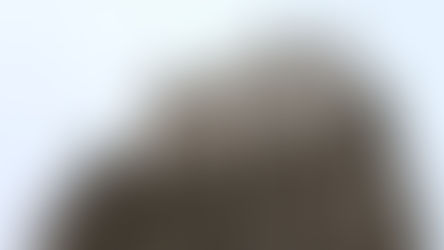 Օտարերկրացիներն օգոստոսի 23-ից կկարողանան էլեկտրոնային վիզայով Ռուսաստանում 30 օր մնալ. ՌԴ ԱԳՆ