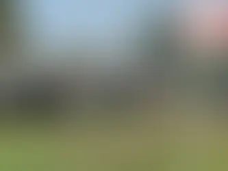 Կանխել է Ուկրաինայի զինված ուժերի բեկումը Կուրսկի Բելովսկի շրջանում. ՌԴ ՊՆ-ն հայտարարություն է տարածել