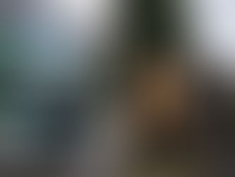 Հերացի փողոցում ավտովթարի հետևանքով տուժածներից 2-ի վիճակը կայուն ծանր է, 7-ինը` միջին ծանրության