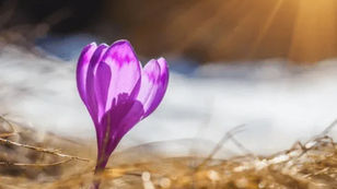 Ի՞նչ եղանակ սպասել մարտի 22-ից 26-ին