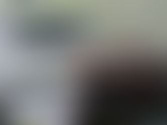 Հայաստանում գրանցվել է Արևմտյան Նեղոսի տենդով վարակման 20 դեպք, 1 մարդ մահացել է