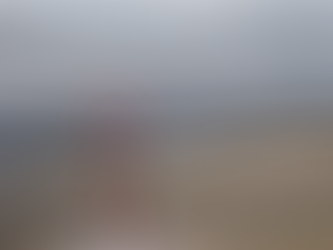 Եթե Թուրքիան որոշի ՀՀ-ի վրա hարձակվել, խիստ կասկածում եմ, որ ռուս սահմանապահները պաշտպանելու են. Ալեն Սիմոնյան