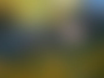 Սպասվում է առանց տեղումների եղանակ