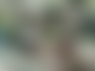 Շփման գծում նռնակի պայթյունից վիրավորված որոշ զինծառայողների այս պահին տեղափոխում են Երևան