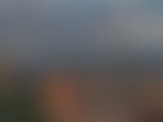 «Իրական Հայաստանի գեղագիտության տեղորոշման և աջակցության» հայեցակարգ խայտառակությունը նշանակում է, որ սրանք փորձում են վերադարձնել այն օրերը, երբ ազգային ամեն ինչն արգելված էր. պատգամավոր